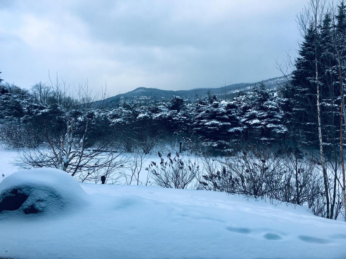 Le Boise Mont-Tremblant Appartement Buitenkant foto